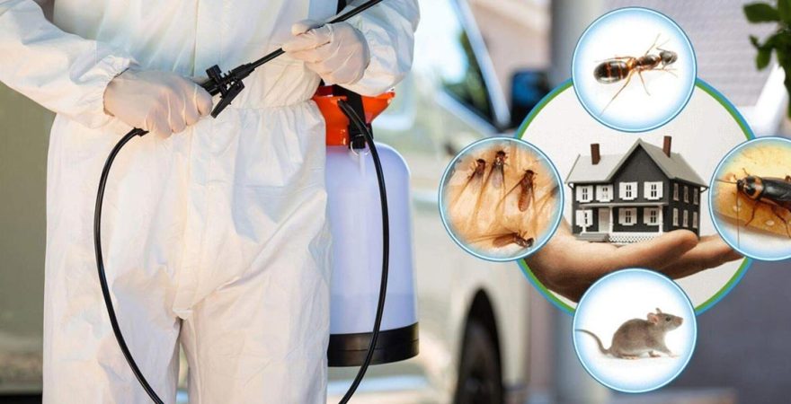 Aktepe Böcek İlaçlama