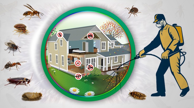 Aktepe Böcek İlaçlama