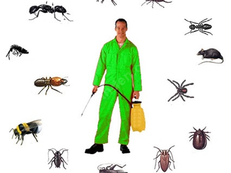 Aktepe Böcek İlaçlama